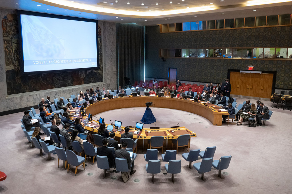 安理会关于中非地区问题的会议全景 (资料图片）